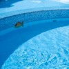Плёнка ПВХ Delifol NGD Blue, ширина 1,65м (синий) - wod-mir.ru 