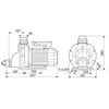 Насос Pool King BTP-1100, 220В, 15,6м³/ч, 1,1кВт, без префильтра - wod-mir.ru 