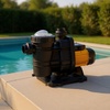 Насос Pool King FCP-1100S, 220В, 26,1м³/ч, 1,9кВт, с префильтром - wod-mir.ru 