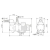 Насос Pool King FCP-250S, 220В, 5,2м³/ч, 0,43кВт, с префильтром - wod-mir.ru 