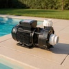 Насос Aquaviva LX WP500-T, 380В, 67м³/ч, 3,7кВт, без префильтра  - wod-mir.ru 