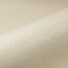 Пленка ПВХ Renolit Alkorplan Relief "Sand", ширина 1,65м (песочный) - wod-mir.ru 