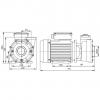  Насос Pool King WP250-I, 220В, 37м³/ч, 1,85кВт, без префильтра - wod-mir.ru 