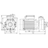 Насос Pool King WP300-I, 220В, 44м³/ч, 2,2кВт, без префильтра - wod-mir.ru 
