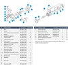 Насос Kripsol Ninfa NK-51, 220В, 9,75м³/ч, 0,53кВт, с префильтром - wod-mir.ru 