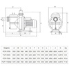 Насос Pool King FCP-370S, 220В, 7,2м³/ч, 0,68кВт, с префильтром - wod-mir.ru 