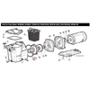 Уплотнительное кольцо для насосов Hayward Super Pump (SPX1600T)  - wod-mir.ru 