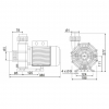  Насос Pool King BTP-1100A, 220В, 21м³/ч, 1,5кВт, без префильтра - wod-mir.ru 