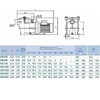 Насос Kripsol KSE-300 M (IE2), 220В, 29,5м³/ч, 2,6кВт, с префильтром - wod-mir.ru - Екатеринбург 