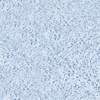Пленка ПВХ Aquaviva Terrazzo, 1,65x25,2м (41,58м²), мраморная крошка - wod-mir.ru 