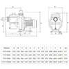 Насос Pool King FCP-370S, 220В, 7,2м³/ч, 0,68кВт, с префильтром - wod-mir.ru - Екатеринбург 