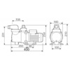 Насос Pool King FCP-180S, 220В, 3,7м³/ч, 0,32кВт, с префильтром - wod-mir.ru 