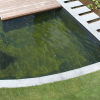  Пленка ПВХ Renolit Alkorplan Natural Pool Olive Green 2,05х20м (оливковая) - wod-mir.ru 
