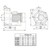 Насос Pool King WTB300, 220В, 45м³/ч, 2,2кВт, без префильтра  - wod-mir.ru 