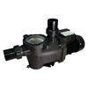Насос Pool King PH150, 220В, 16,9м³/ч, 1,5кВт, с префильтром - wod-mir.ru 