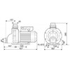 Насос Pool King BTP-1500, 220В, 19,1м³/ч, 1,5кВт, без префильтра - wod-mir.ru 