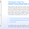 Перистальтический дозирующий насос Aquaviva PPR Universal 1.5-4 л/ч - wod-mir.ru 