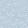 Пленка ПВХ Aquaviva Terrazzo, ширина 1,65м (мраморная крошка), противоскользящая - wod-mir.ru 