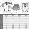 Насос Hayward RS3011E(V1), 220В, 17м³/ч, 0,93кВт, с префильтром - wod-mir.ru - Екатеринбург 