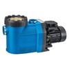 Насос Speck Badu Prime 20, 380В, 20м³/ч, 1кВт, с префильтром - wod-mir.ru 