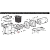 Уплотнительное кольцо для насосов Hayward Super Pump (SPX1600T)  - wod-mir.ru 