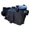 Насос Hayward RS II RS3016EV1, 220В, 18,75м³/ч, 1,1кВт, с префильтром - wod-mir.ru 