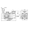 Насос Pool King BTP-15AN, 380В, 162м³/ч, 11кВт, без префильтра - wod-mir.ru 