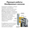 Мембранный дозирующий насос Aquaviva TPG803 Universal, 0,1-54л/ч - wod-mir.ru 