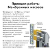 Мембранный дозирующий насос Aquaviva APG803 Universal, 0,1-54л/ч - wod-mir.ru 
