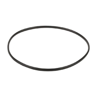 Уплотнительное кольцо к прижимному фланцу корпуса насоса Aquaviva SC (02011089) - wod-mir.ru 