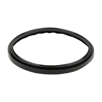 Резиновая прокладка фланца насоса Kripsol KA/KAP (RKA160.A/ RPUM0016.04R) - wod-mir.ru 