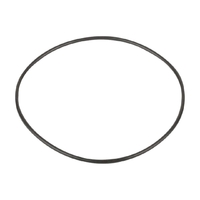 Резиновая прокладка к фланцу насоса Kripsol KAN/KT (RPUM0016.05R/ RBH0013.04R) - wod-mir.ru 