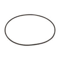 Уплотнительное кольцо диффузора насоса Emaux SR\SB (2011108) - wod-mir.ru 
