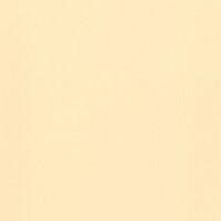 Пленка ПВХ Delifol NG Sand, ширина 2м (песочный) - wod-mir.ru 