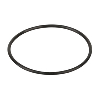Уплотнительное кольцо корпуса насоса Aquaviva SMP - wod-mir.ru 