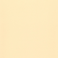 Пленка ПВХ Delifol NG Sand 1,65х25м (песочная) - wod-mir.ru 