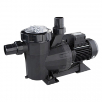  Насос AstralPool Victoria Plus, 220В, 21,5м³/ч, 1,1кВт, с префильтром - wod-mir.ru 