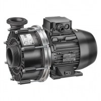  Насос Speck Badu 21-50/43 G, 220В, 38м³/ч, 2,27кВт, без префильтра - wod-mir.ru 