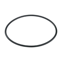 Уплотнительное кольцо крышки префильтра насоса Aquaviva AVC-5.5-10T - wod-mir.ru 