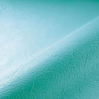 Пленка ПВХ Renolit Alkorplan Relief Caribbean Green, 1,65x25м (41,25м²), бирюзовый - wod-mir.ru 