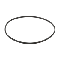 Уплотнительное кольцо корпуса насоса Aquaviva WP - wod-mir.ru 