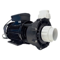 Насос Pool King WP300-I, 220В, 44м³/ч, 2,2кВт, без префильтра - wod-mir.ru 