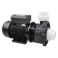 Насос Pool King LP250, 220В, 30м³/ч, 1,85кВт, без префильтра - wod-mir.ru 