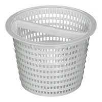 Корзина для скиммеров Hayward (SPX1094FA) - wod-mir.ru 