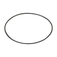 Прокладка-кольцо крышки префильтра насоса Kripsol KAP (RKA 030.A/ RBH0011.05R) - wod-mir.ru 