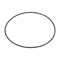 Резиновая прокладка к фланцу насоса Kripsol EP (RKS160.A) - wod-mir.ru 