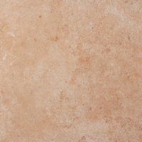 Пленка ПВХ Delifol NGS Livingstone Gold 1,6х25м (золотистая) - wod-mir.ru 