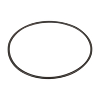 Резиновая прокладка к фланцу насоса Kripsol CK (ROK160) - wod-mir.ru 