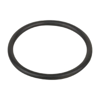 Уплотнительное кольцо соединительной муфты насоса Aquaviva VWS/STP 150-300 (F02010093) - wod-mir.ru 