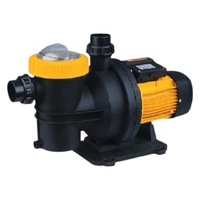 Насос Pool King FCP-750S, 220В, 15,5м³/ч, 1,15кВт, с префильтром - wod-mir.ru 